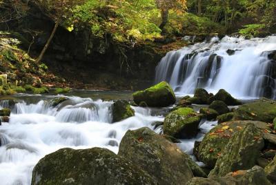Preserve the Beautiful Nature of Tateshina on a Guided Walking To Preserve the Beautiful Nature of Tateshina on a Guided Walking To