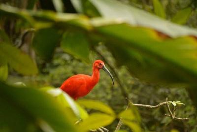 Sightseeingss in Nago Things to do in Nago 188170