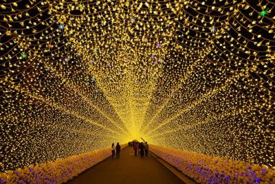 Private Tour Guide Nagoya with a Local: Kickstart your Trip, Pers Private Tour Guide Nagoya with a Local: Kickstart your Trip, Pers