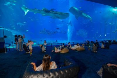 [Under service] Okinawa hip-hop bus 1-day tour E course