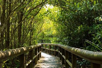 Okinawa Hip-hop Bus C Course Tour to Northern Island