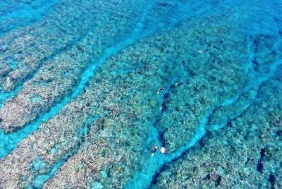 Half-Day Snorkeling Experience in Kerama Islands from Naha Half-Day Snorkeling Experience in Kerama Islands from Naha