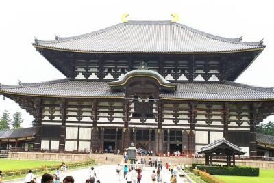 Nara Lazy Bird Tour Nara Lazy Bird Tour
