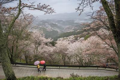 Nara Like a Local: Customized Private Tour Nara Like a Local: Customized Private Tour