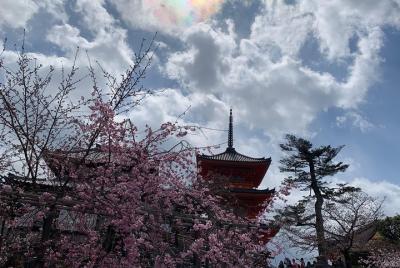 Kyoto-Nara One-day tour Kyoto-Nara One-day tour