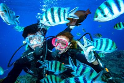 Let Let's enjoy twice as much as a set! / Blue cave experience diving + banana boat