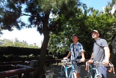 Osaka Osaka's golden route Bike tour (Lot of booked, Thank you)