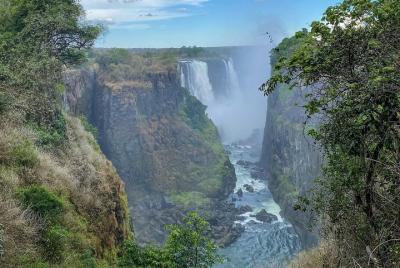Guided tour of the Victoria Falls Rainforest 