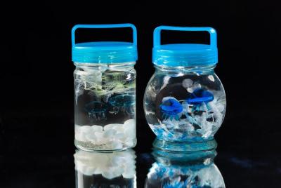 Kaiyukan only! ! Handmade jellyfishium experience Kaiyukan only! ! Handmade jellyfishium experience
