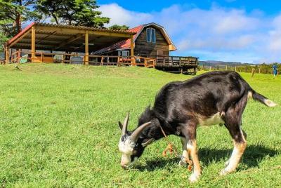 Private Tour - Craft, Hot Spring, Thank you for Nature's Bounty i