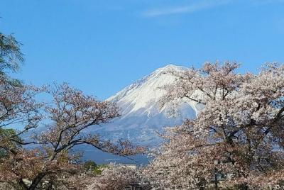 Mt. Fuji, visit where all the Japanese people belong (chartered t Mt. Fuji, visit where all the Japanese people belong (chartered t
