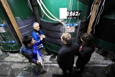 Sake Brewery Visit and Tasting Tour in Hida Sake Brewery Visit and Tasting Tour in Hida