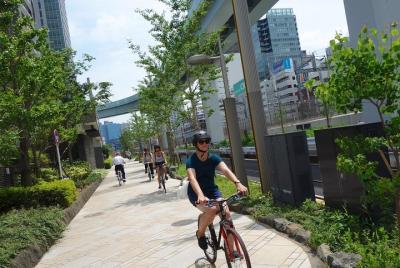 Small-Group Tokyo Biking Tour