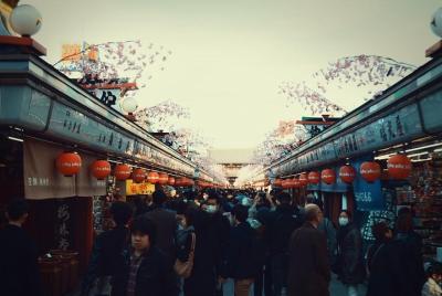 Walking Tour in YANAKA - Relaxing and Culture Experience 