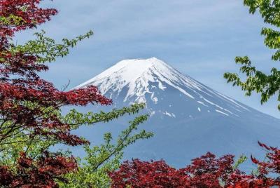 Mount Fuji Classic Day Tour (Join Tour)