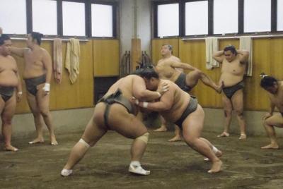 Sumo stable Morning Training Watching Tour  Sumo stable Morning Training Watching Tour