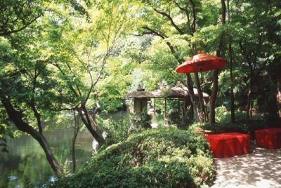 Tea Meditation with Japanese garden at Happo-en w/o souvenir Tea Meditation with Japanese garden at Happo-en w/o souvenir