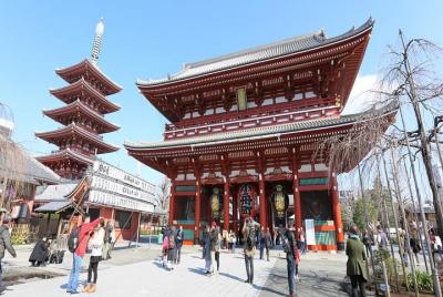 Asakusa Highlights Tour with Nationally-Licensed Guide