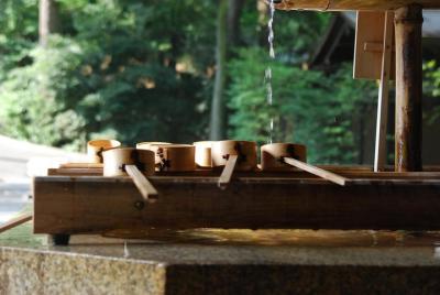 Meiji Jingu Tour Meiji Jingu Tour