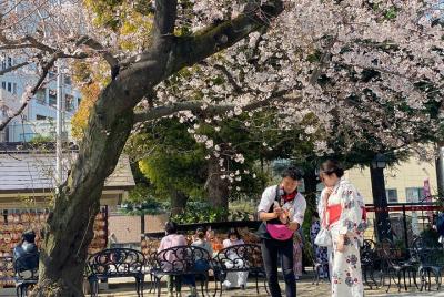 Edohuzei Shitamachi Rickshaw Tour in Asakusa