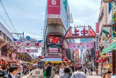 Tokyo Food & Culture Half-Day Private Tour with Nationally-Licens