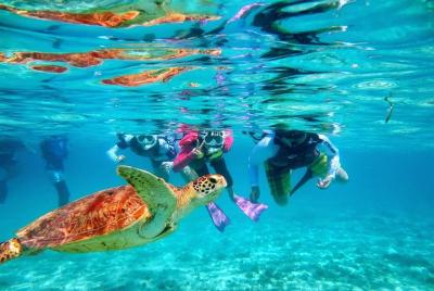 * ZAMAMI Island * Kayak & Snorkeling half day tour * ZAMAMI Island * Kayak & Snorkeling half day tour