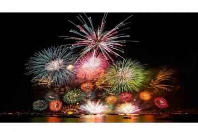 Tokyo Disneyland Shared Transfer : from Tokyo to Disneyland (One 