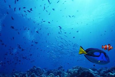 Tokyo DisneySea Shared Transfer : from DisneySea to Tokyo (One Wa Tokyo DisneySea Shared Transfer : from DisneySea to Tokyo (One Wa