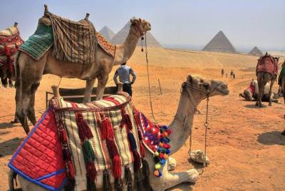 17-Night Jordan and Egypt Highlights with Nile Cruise, Red Sea 17-Night Jordan and Egypt Highlights with Nile Cruise, Red Sea