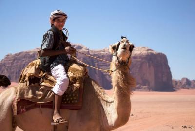 Camel Ride to Lawrence Spring, Wadi Rum Camel Ride to Lawrence Spring, Wadi Rum