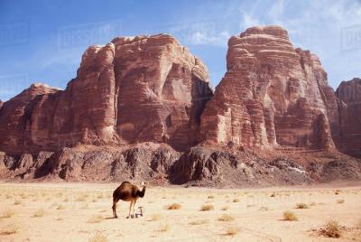 One Day Tour Wadi Rum One Day Tour Wadi Rum