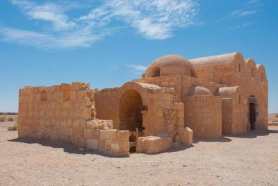 Private Tour Desert Castles with Shaumari Wildlife & Azraq Wetland from Dead Sea