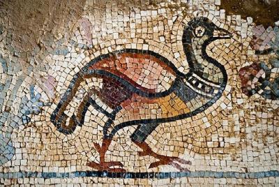 Private Full-Day Mosaic Tour with Workshop Experience from Dead Sea Private Full-Day Mosaic Tour with Workshop Experience from Dead Sea
