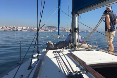 Sailing day cruise with bottle of wine & snacks Sailing day cruise with bottle of wine & snacks
