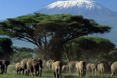 Kilimanjaro Escape Kilimanjaro Escape