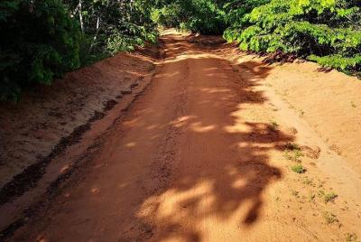 Shimba Hills Excursion Shimba Hills Excursion