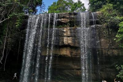 1 day Shimba hills 1 day Shimba hills