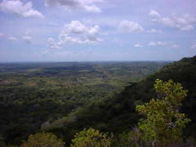 Small-Group Tour: Shimba Hills National Park from Diani Beach Small-Group Tour: Shimba Hills National Park from Diani Beach