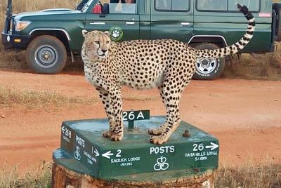 Two day safari with an overnight stay in Tsavo East National Park Two day safari with an overnight stay in Tsavo East National Park