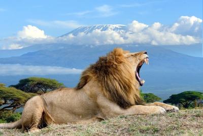 2 Days Amboseli National Park Luxury Safari 2 Days Amboseli National Park Luxury Safari