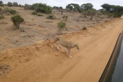 2days Taita hills wildlife sanctuary 2days Taita hills wildlife sanctuary