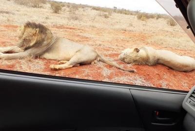 3 Days Tsavo Adventure Tsavo East & West National Parks 3 Days Tsavo Adventure Tsavo East & West National Parks