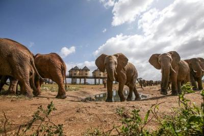 3 DAYS SALTLICK AND RHINO VALLEY LODGE SAFARI (minimum 2 pax) 3 DAYS SALTLICK AND RHINO VALLEY LODGE SAFARI (minimum 2 pax)