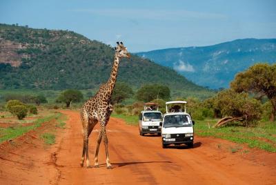 3 Days Tsavo East & Tsavo West Safari ( Minimum 2 Pax) 3 Days Tsavo East & Tsavo West Safari ( Minimum 2 Pax)