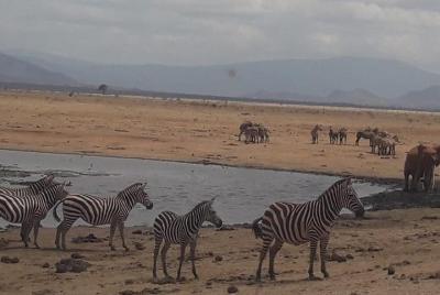 4 Days Tsavo East National Park, Amboseli & Taita Hills Wildlife Sanctuary 4 Days Tsavo East National Park, Amboseli & Taita Hills Wildlife Sanctuary