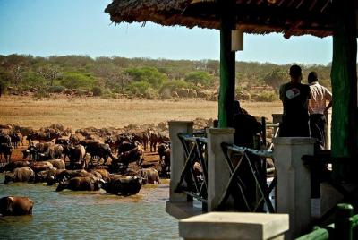 3 Days 2 Nights Manyatta camp- Tsavo East 3 Days 2 Nights Manyatta camp- Tsavo East