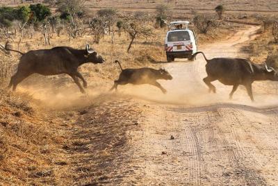 3 Days 2 Nights Tsavo west& Taita Hills Safari 3 Days 2 Nights Tsavo west& Taita Hills Safari