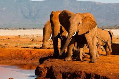 4 Days Special Circuit In Kenya 4 Days Special Circuit In Kenya