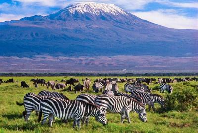 3 Days (2 nights); Tsavo East & Amboseli Safari: 3 Days (2 nights); Tsavo East & Amboseli Safari: