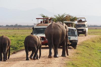 4 Days Amboseli, Tsavo West Tsavo East Luxury Safari